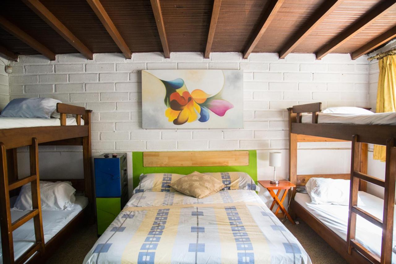 Hostel Spring *